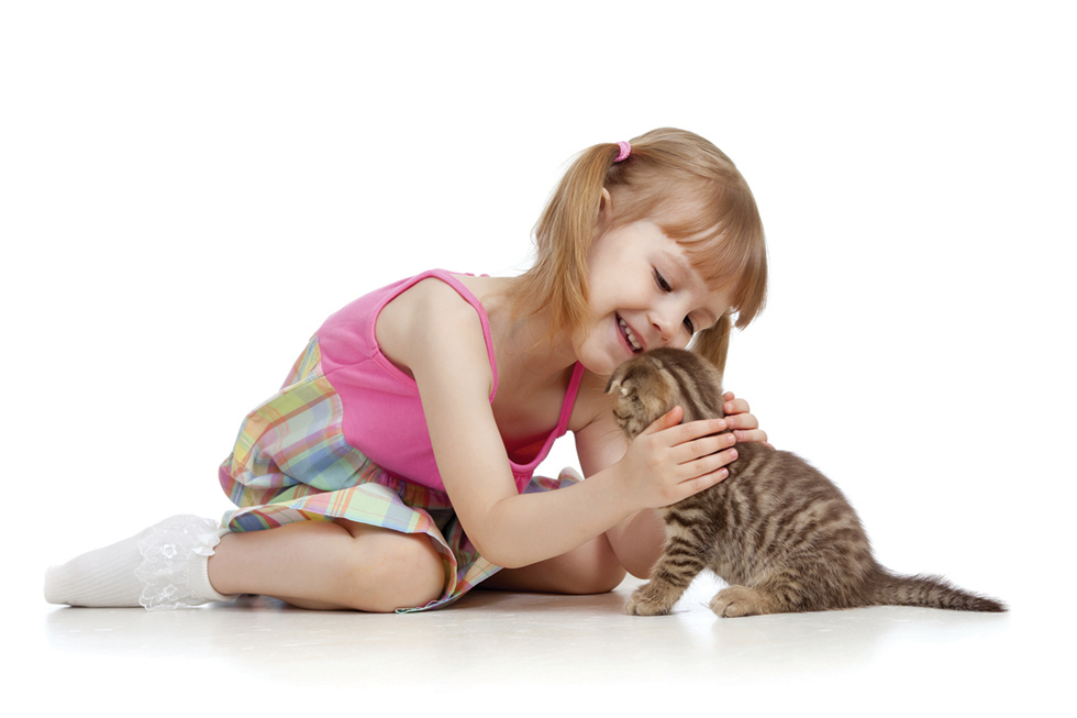 Socialization Felin
